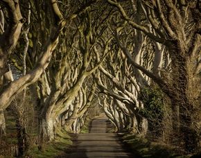 erlebnisreisen-irland-rundreise-thrones