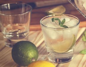 gin-tasting-mannheim-verkostung